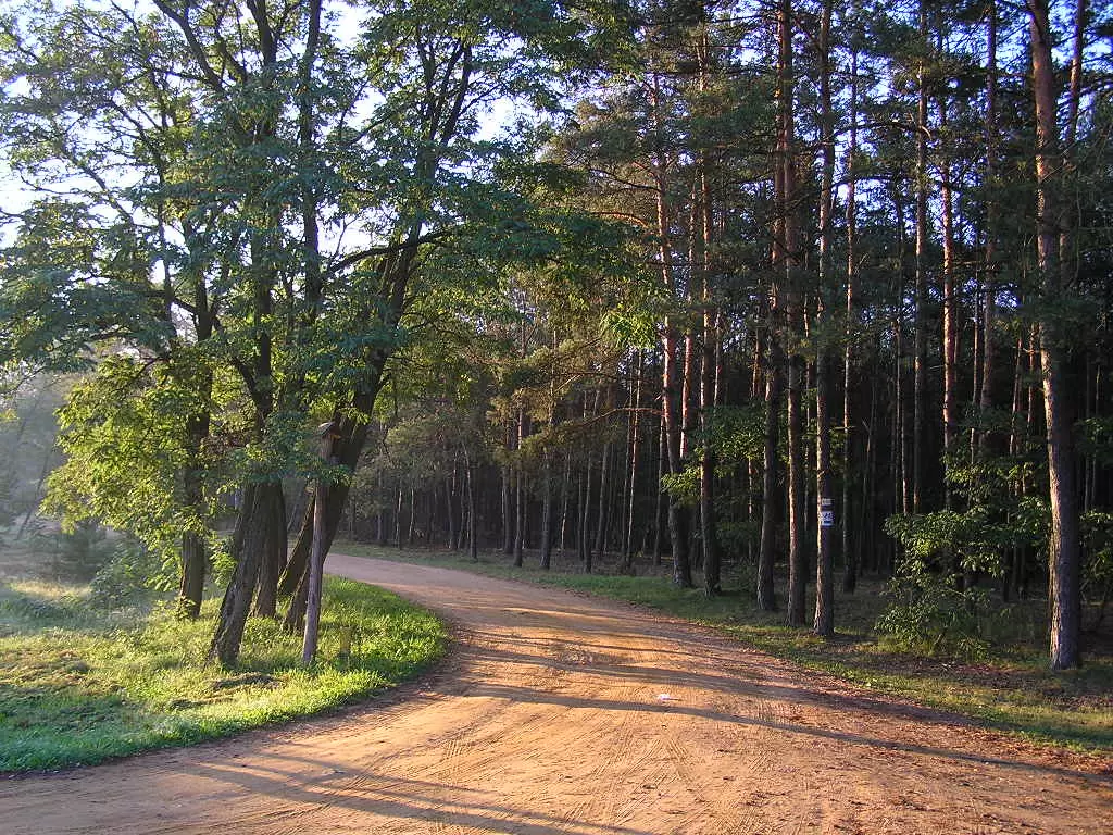 Przestrzenie do organizacji seminariów w pobliżu Kampinoskiego Parku Narodowego