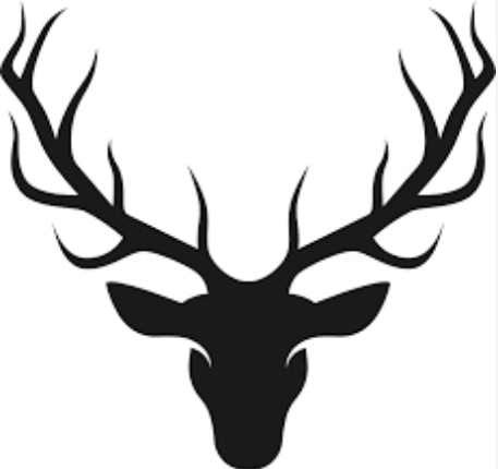 Logo Hotel Jelenia Struga**** Medical SPA