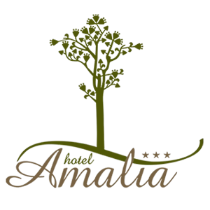 Logo Hotel Amalia***