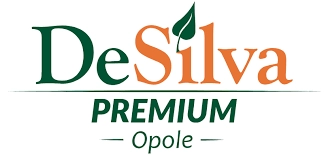 Logo Hotel DeSilva Premium Opole****