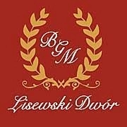 Logo Dwór Lisewo