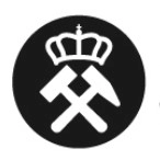 Logo Muzeum Górnictwa Węglowego Zabrze