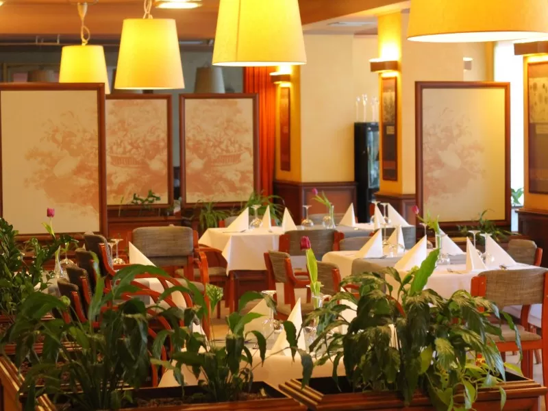 W jakich godzinach czynne są restauracje/bary hotelowe obiektu Hotel Vega***?