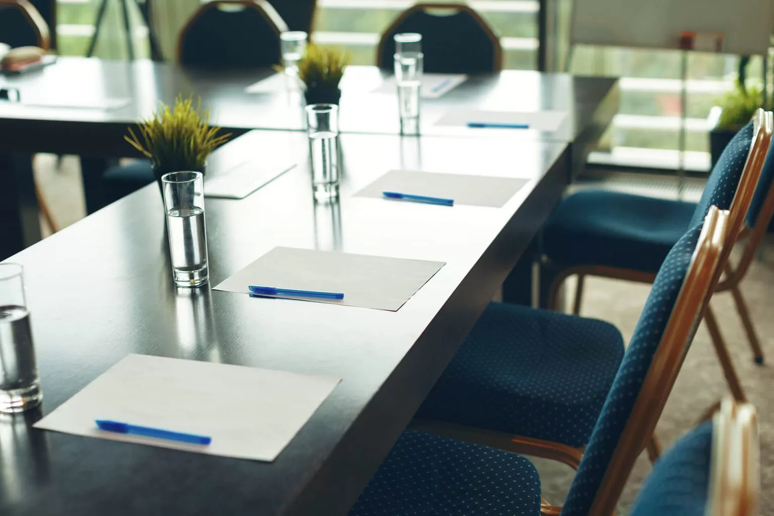 Iloma salami konferencyjnymi dysponuje Hotel Villa Eva i na ile osób maksymalnie można zorganizować w nich konferencję?