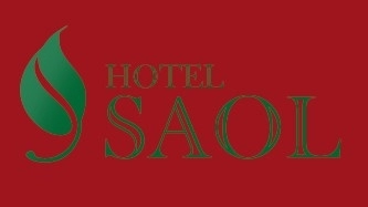 Logo Hotel Saol***